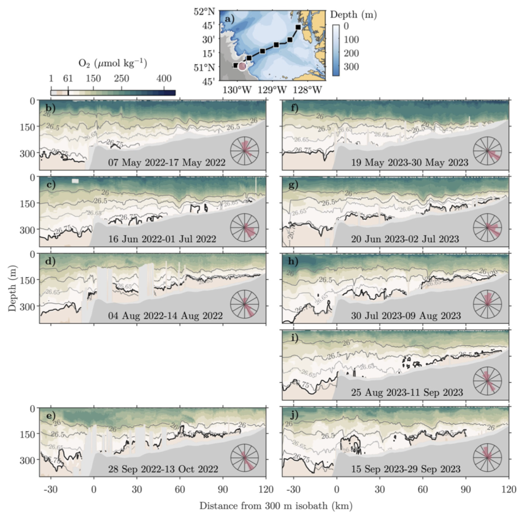 Glider data used in the study