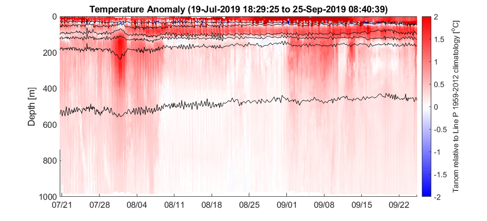Temperature Anomaly along Line P